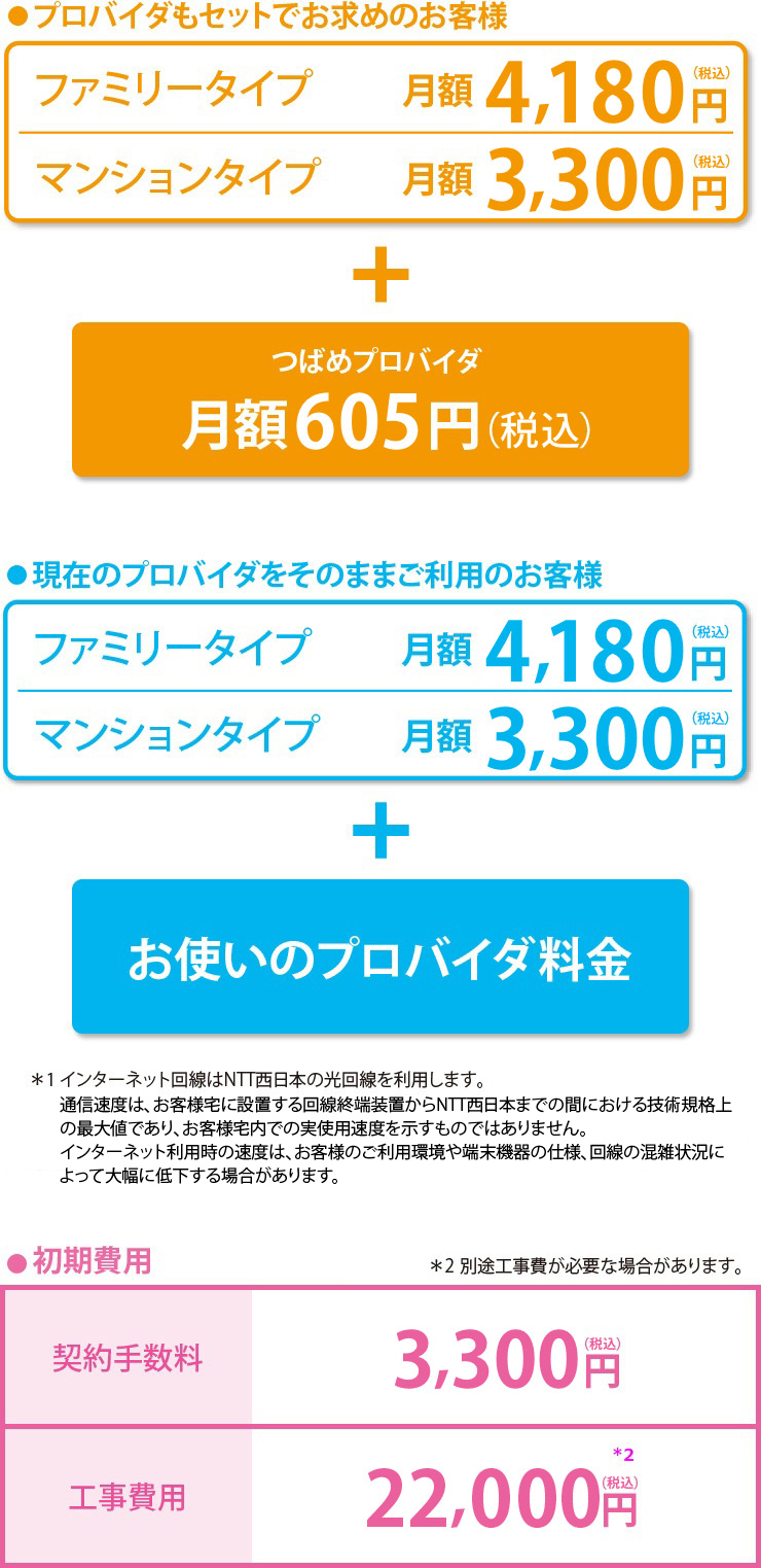 プロバイダもセットでお求めのお客様、現在のプロバイダをそのままご利用のお客様、初期費用