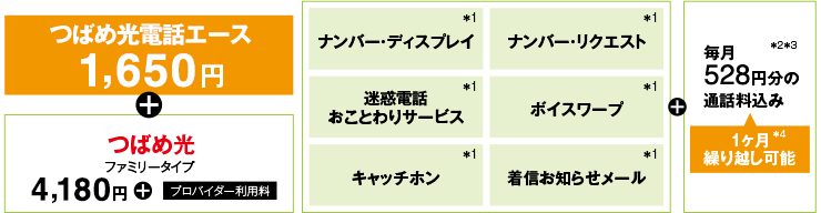 つばめひかり電話エース1,650円+つばめ光ファミリータイプ（ガスとセットでご利用の場合）4,180円+プロバイダー利用料　ナンバー・ディスプレイ、迷惑電話おことわりサービス、キャッチホン、ナンバー・リクエスト、ボイスワープ、着信お知らせメール+毎月528円分の通話料込み 1ヶ月繰り越し可能